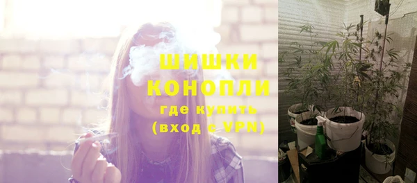 индика Баксан