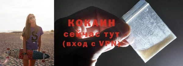 индика Баксан