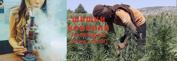 индика Баксан