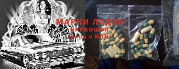 индика Баксан